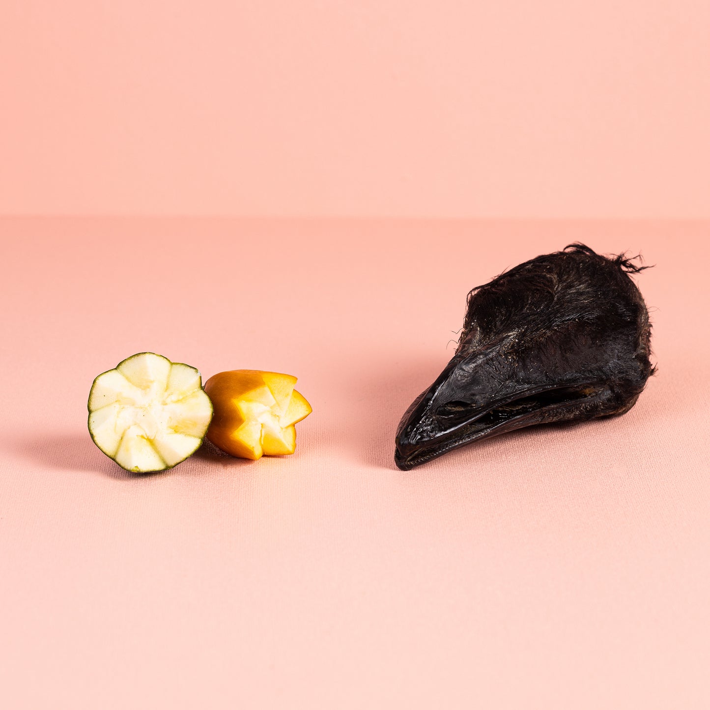 Canine Craving Dehydrated Emu Head - 1 pcs