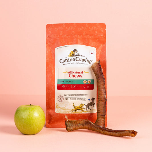 Canine Craving Dehydrated Lamb Trachea - 2 pcs