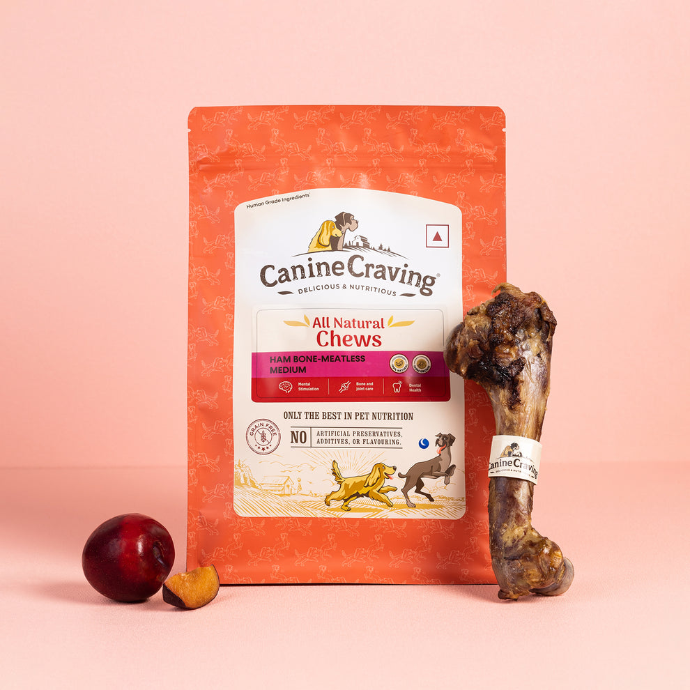 Meatless Ham Bone for Dogs (Dehydrated) - Canine Craving