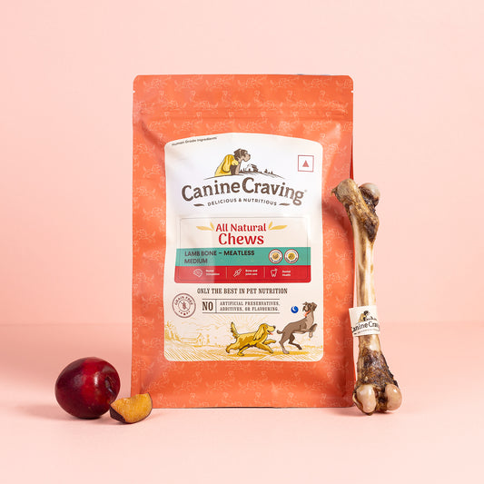 Canine Craving Dehydrated Meatless Lamb Bone - 1 pc